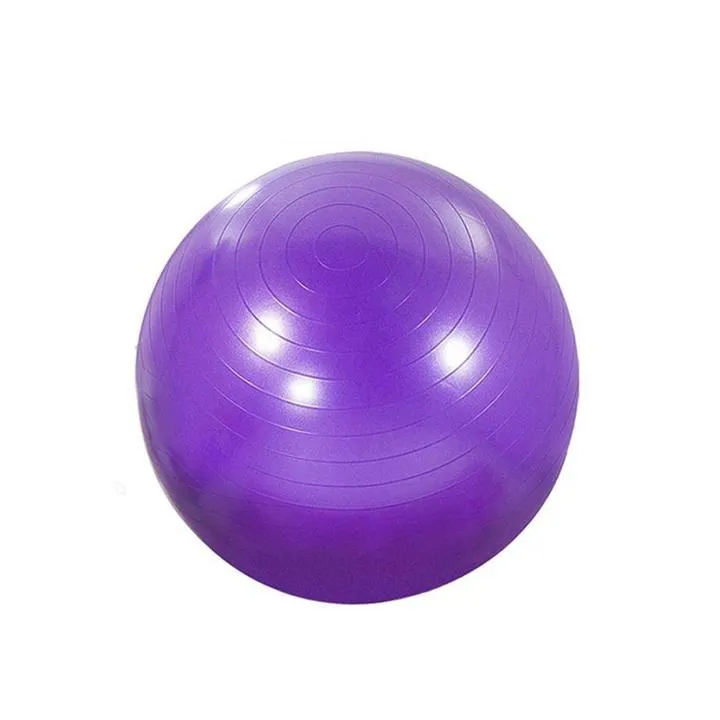 Anti-Burst Therapy/Exercise Ball