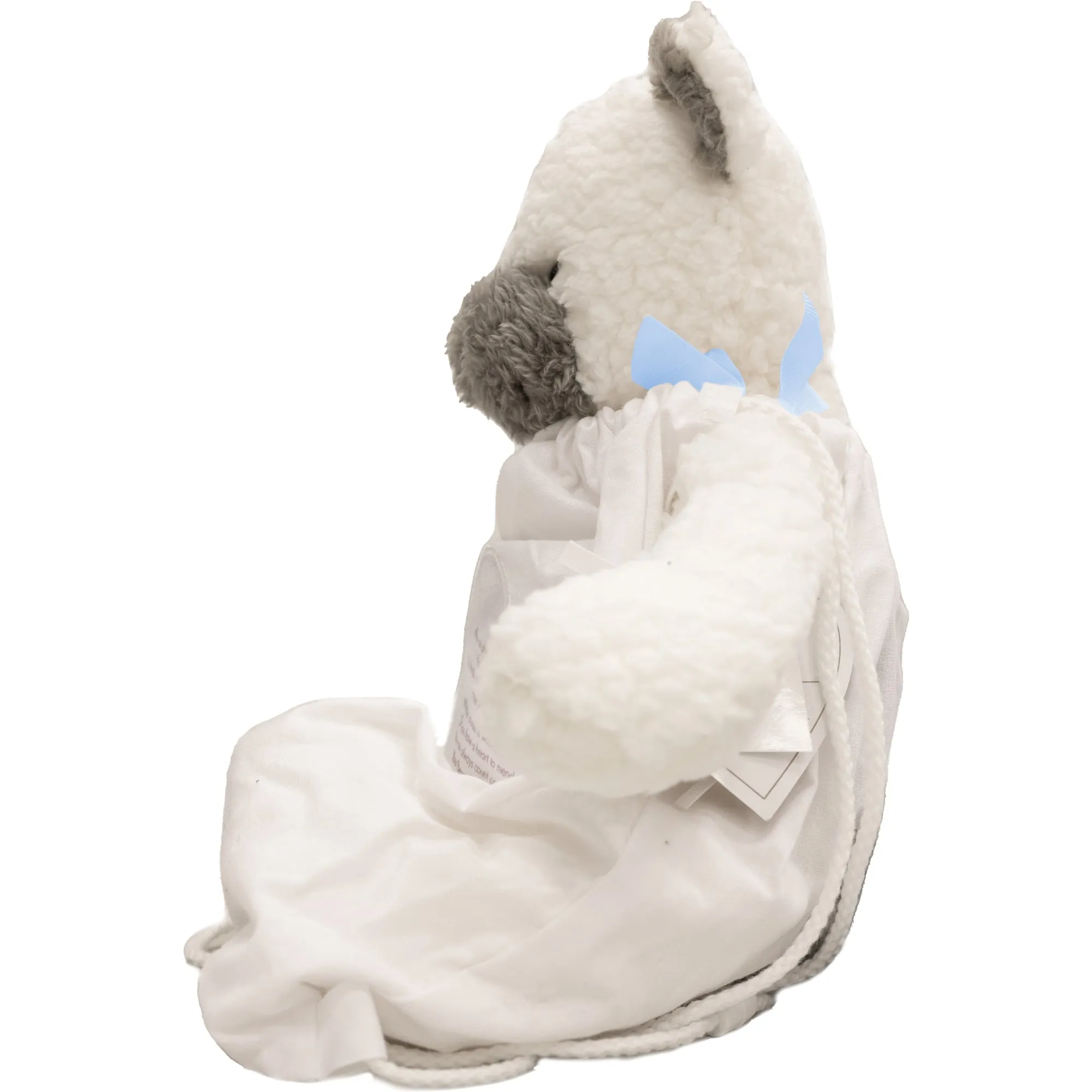 Baby Boy 16" Comfort Bear