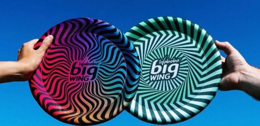 Big Wing Flying Disc