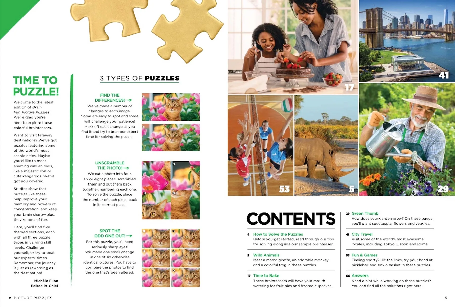 Brain Fun - Picture Puzzle: Spot the Difference! Can You Find All 289 Differences? Five Categories Cute Critters, Sweet Treats, Gorgeous Gardens, Amazing Places, Perfect Pastimes