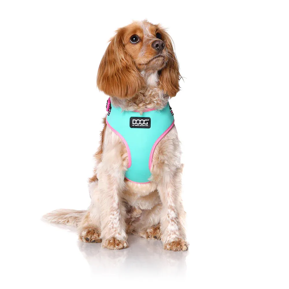 DOOG Neoflex Neoprene Rin Tin Tin Neon Teal and Pink Dog Harness Large