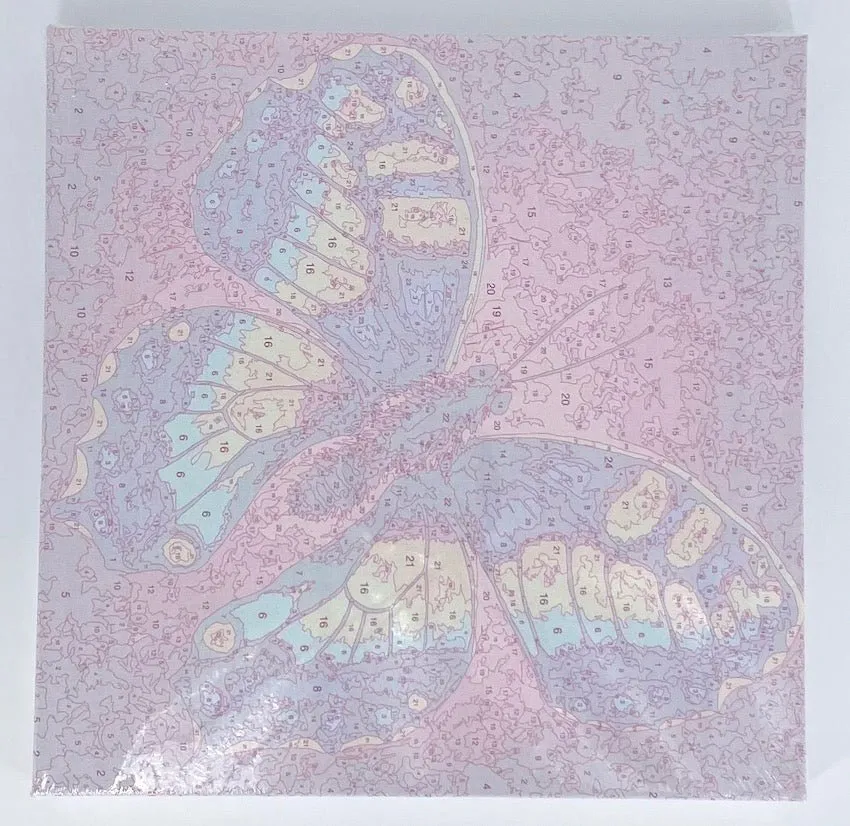 "Change" Paint by Numbers Framed Kit Rachel Froud 30x30cm