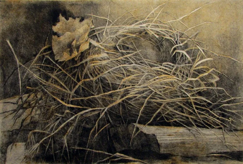 "Nest" by Anne Lyman Powers - Black and White Animals Etching on Paper