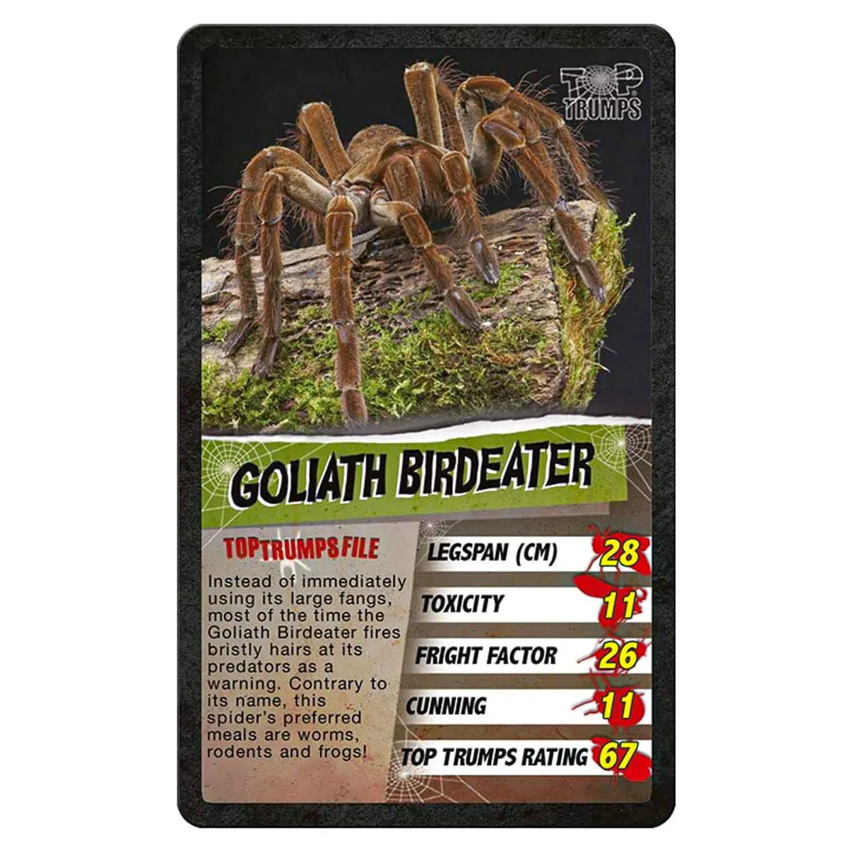 Spiders Top Trumps Classics Card Game