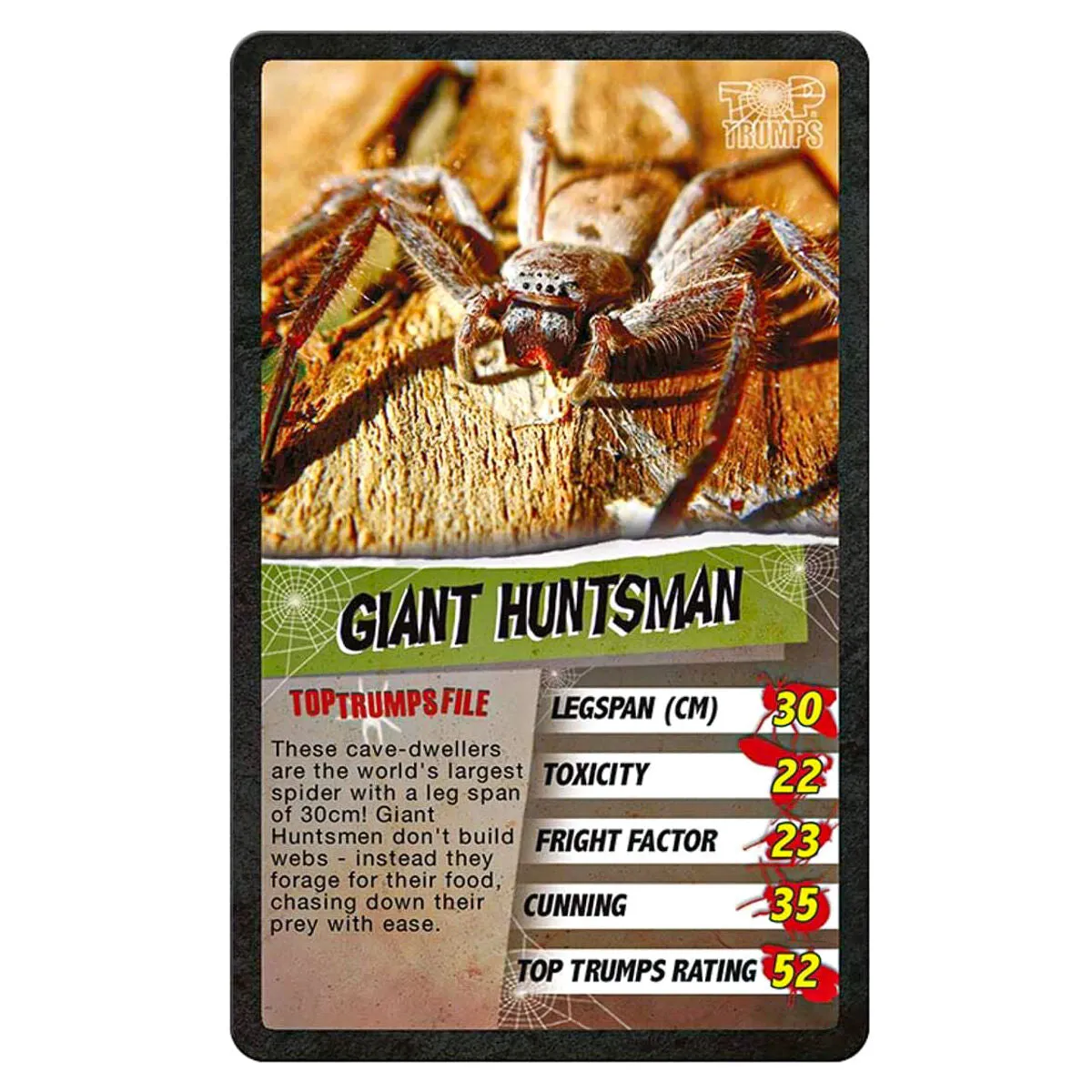 Spiders Top Trumps Classics Card Game