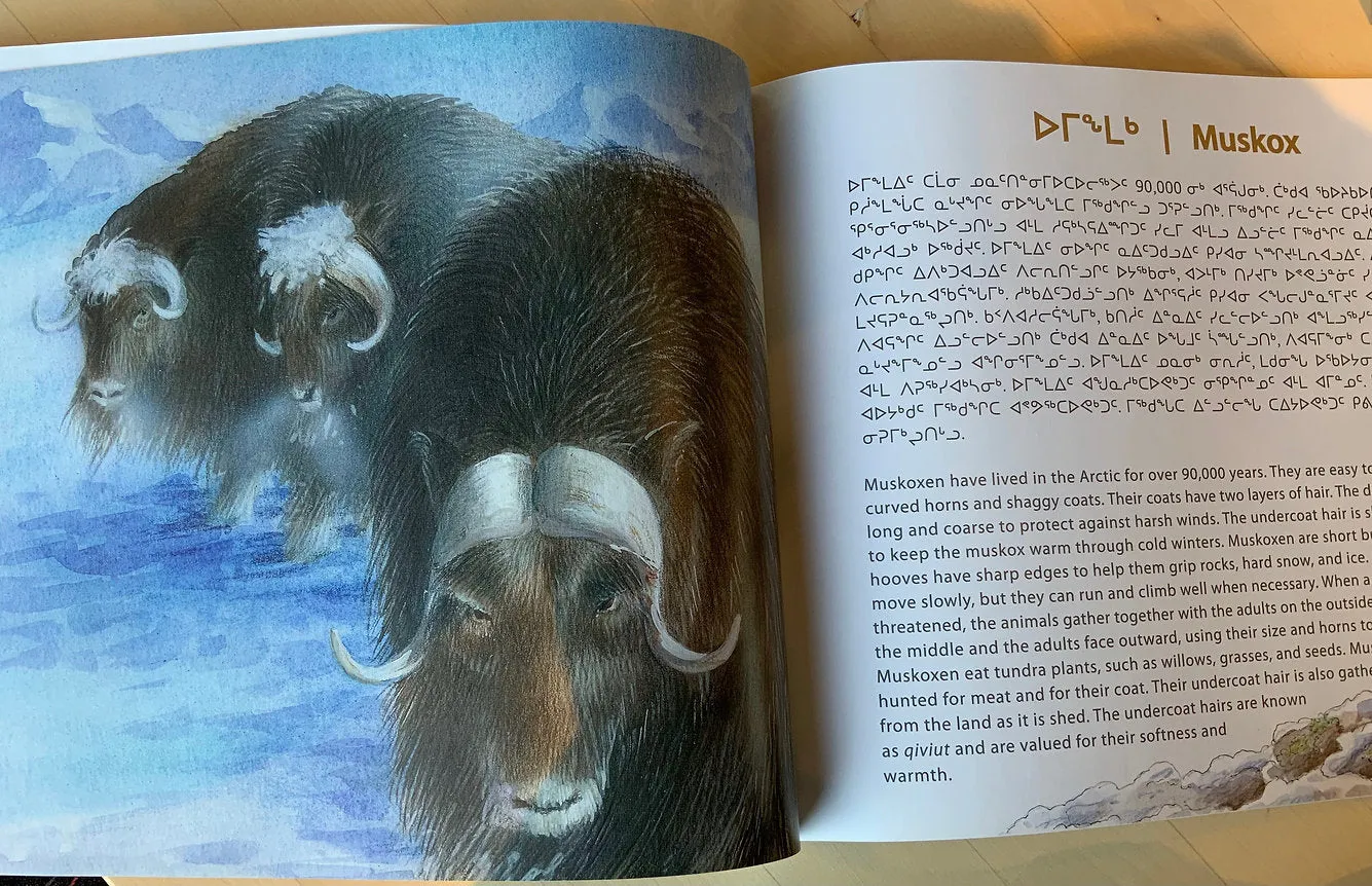 Uumajut Learn about Arctic Wildlife Vol. 2